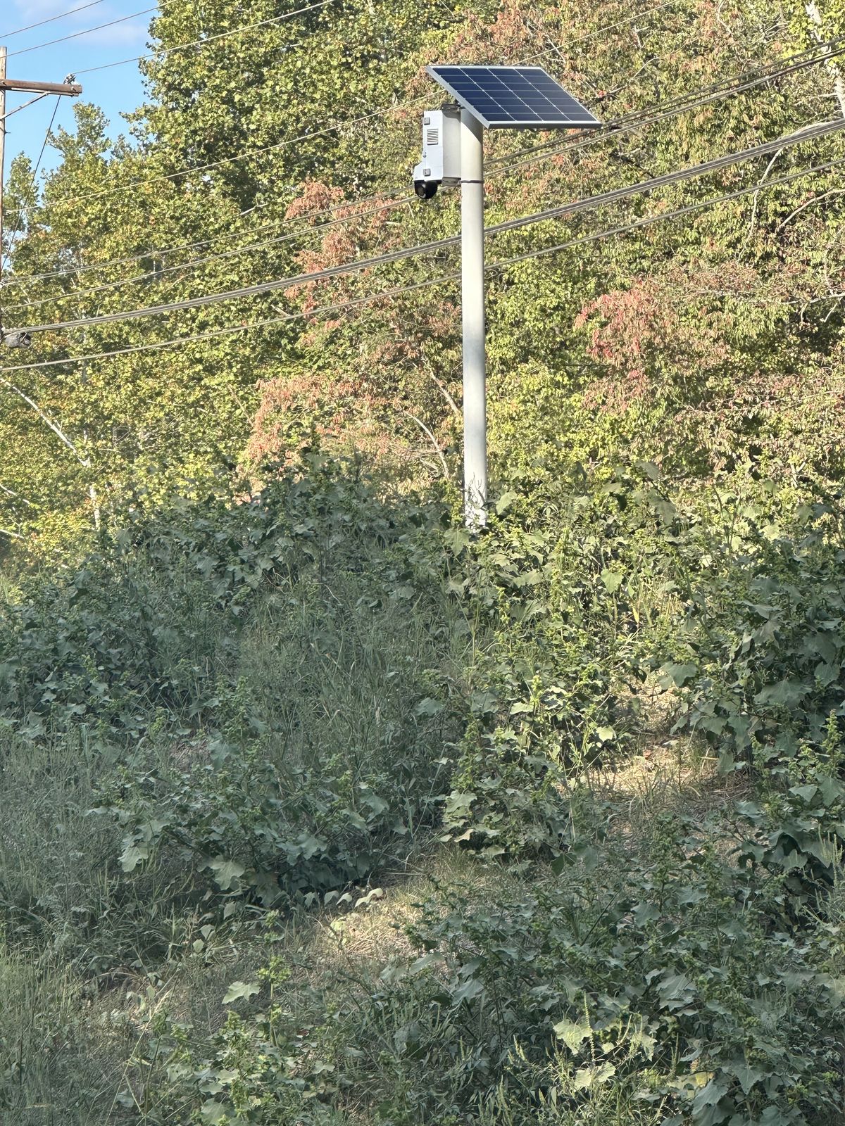 Pole-mounted, solar-powered covert camera concealed in rural brush